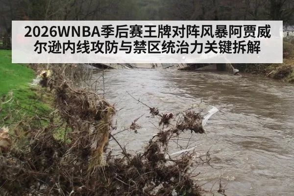 2026WNBA季后赛王牌对阵风暴阿贾威尔逊内线攻防与禁区统治力关键拆解